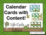 Calendar Cards with Content – Life Cycle Edition