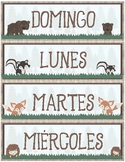 Calendar Display ~ Spanish