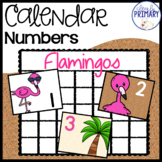 Calendar Numbers: Flamingos