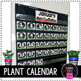 Plant Theme Pocket Chart Calendar Set