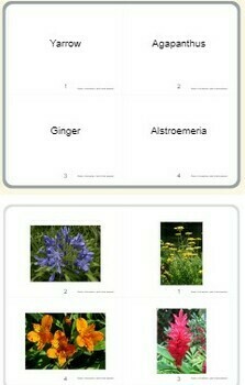 Preview of California FFA Floral CDE Cut Flower ID Flashcards