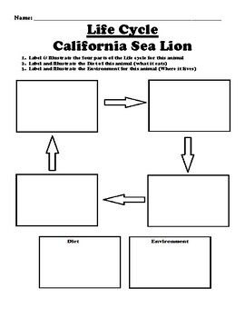 California Sea Lion "Life Cycle" Worksheet by BAC Education | TPT