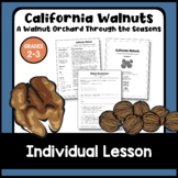 California Walnuts: A Walnut Orchard Through the Seasons