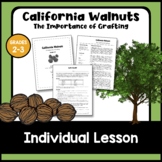 California Walnuts: The Importance of Grafting
