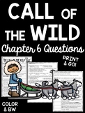 Call of the Wild Chapter 6 Reading Comprehension Worksheet