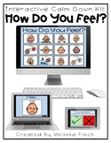 Calm Down Kit- Interactive How Do You Feel Visual
