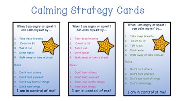 Preview of Student Calm Down Strategy Cards