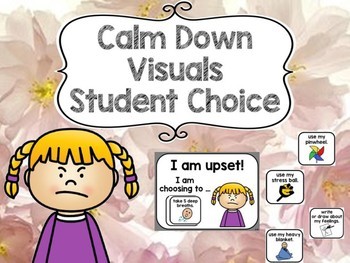 Preview of Calm Down Visuals (with student choice) for Autism
