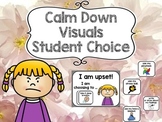 Calm Down Visuals (with student choice) for Autism