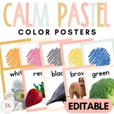 Calm Pastel Classroom Decor | Color Posters | Editable | *NEW
