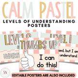Calm Pastel Classroom Decor | Levels of Understanding Post