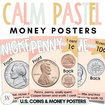 Preview of Calm Pastel Classroom Decor | Money Posters | Editable | *NEW