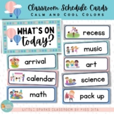 Calm and Cool Schedule Cards | Editable Cards