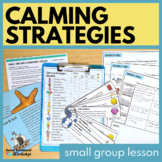 Calming Strategies Small Group Lesson to Improve Self Regulation