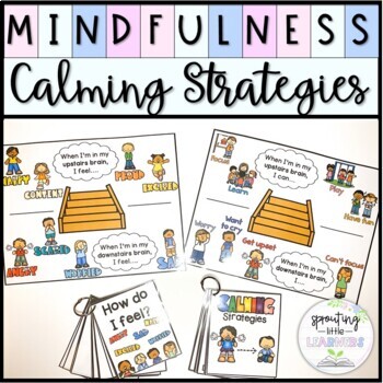 Preview of Calming Strategies | Upstairs/Downstairs Brain Social Emotional Learning