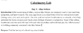 Calorimetry Lab