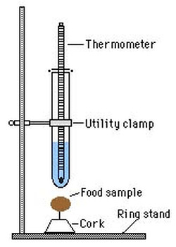 Preview of Calorimetry Lab to Calculate # of Calories in Food Items