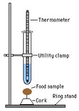 Calorimetry Lab to Calculate # of Calories in Food Items