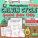 Calvin Cycle Guided Video Notes Visual Notes