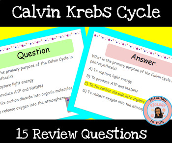 Preview of Calvin Krebs Cycle Multiple Choice Questions Slide Presentation Do Nows