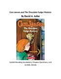 Cam Jansen and the Chocolate Fudge Mystery Discussion Questions