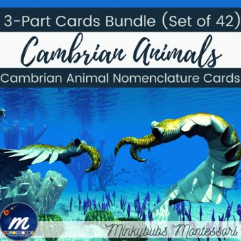 Preview of Cambrian Animals 3 Part Cards BUNDLE Trilobite Hallucigenia Pikaia Anomalocaris