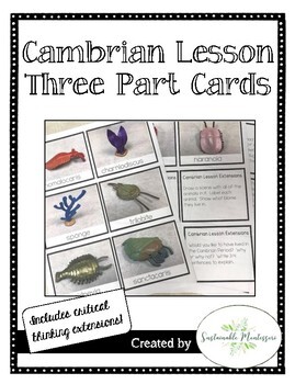 Preview of Cambrian Lesson Three Part Cards