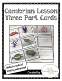Cambrian Lesson Three Part Cards