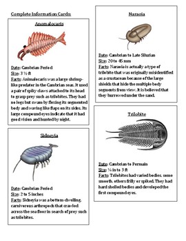 Preview of Cambrian Period 3 Part Cards