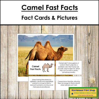 Camel Fast Facts - Montessori Zoology Cards & Pictures by Montessori ...