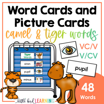 Preview of Camel Words (VC/V) and Tiger Words (V/CV) - Word Cards and Picture Cards