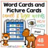 Camel Words (VC/V) and Tiger Words (V/CV) - Word Cards and