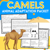 Camels: Animal Adaptation Science & Nonfiction Reading Pas