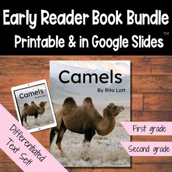 Preview of Camels Desert Animals and Adaptations Multi-Level Nonfiction Text Bundle