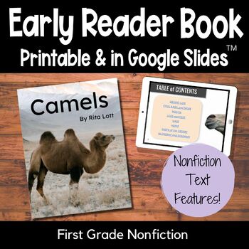 Preview of Camels Desert Animals and Adaptations Nonfiction Book for First Grade