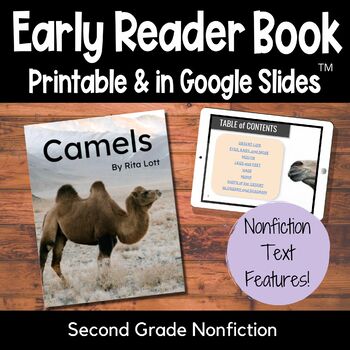 Preview of Camels Desert Animals and Adaptations Nonfiction Book for Second Grade