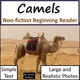 Camels: Non-fiction animal e-book for beginning readers