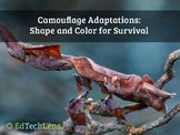 Camouflage Adaptations: Shape and Color for Survival Dista