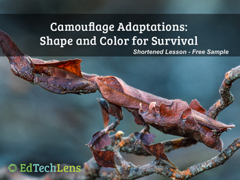 Preview of Camouflage Adaptations: Shape and Color for Survival PDF - Free Sample