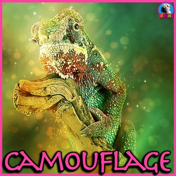 Preview of Camouflage: Animal Adaptations - PowerPoint & Activities