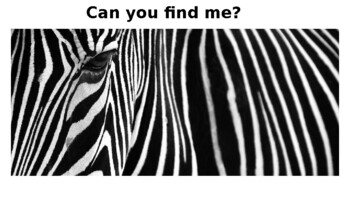 Preview of Camouflage/Adaptation!! Can you find me?