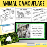 Animal camouflage lesson activities PowerPoint Google Slid