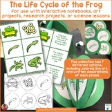 Frog Life Cycle Activities, Crafts, and Printables