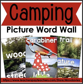Preview of Camping Picture Word Wall
