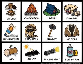 Preview of Camping Vocabulary Visual Support