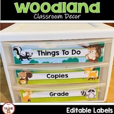 Camping and Woodland Animal Classroom Decor Name Plates an