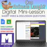 Can Animals Laugh? Mystery Doug - Distance Learning