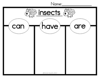 Preview of Can, Have, Are Chart- INSECTS (Tree Map)