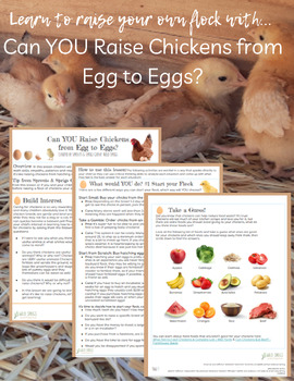 Can YOU Raise Chickens from Egg to Eggs? | An Interactive Learning Scenario