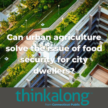 Preview of Can urban agriculture solve the issue of food security for city dwellers?